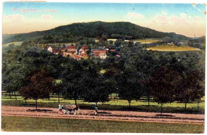 Vinařice 1915